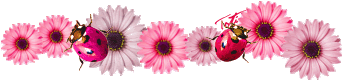 animspringdivider.gif image by BusyMom5x