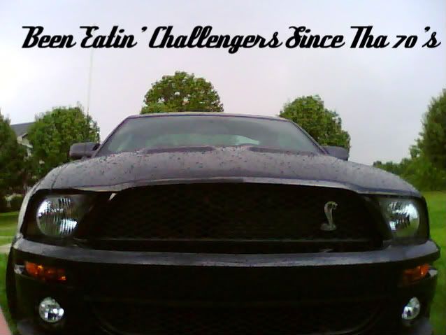 Posted Image
