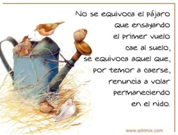 photo cid_A6EBD158EB934C11B500EACD589E5BC.jpg