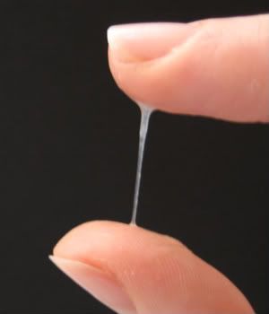 514px-Cervical_mucus1.jpg