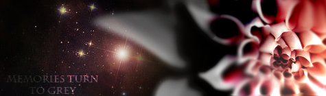 Memorysturntogrey.png