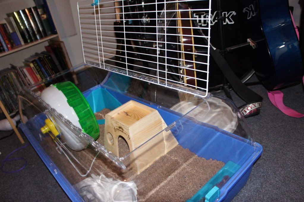 plastic cage heating Hedgehog Central