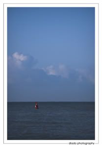 Brighton Seafront: Afloat