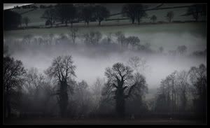 Misty Glen