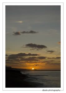 Brighton Sunrise: Sun Rising 01