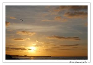 Brighton Sunrise: Sun Rising 04