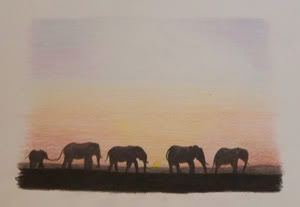 Elephant Sunset