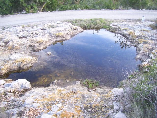 100_8351.jpg