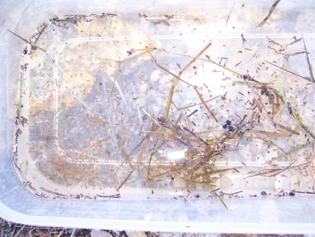 100_8352.jpg