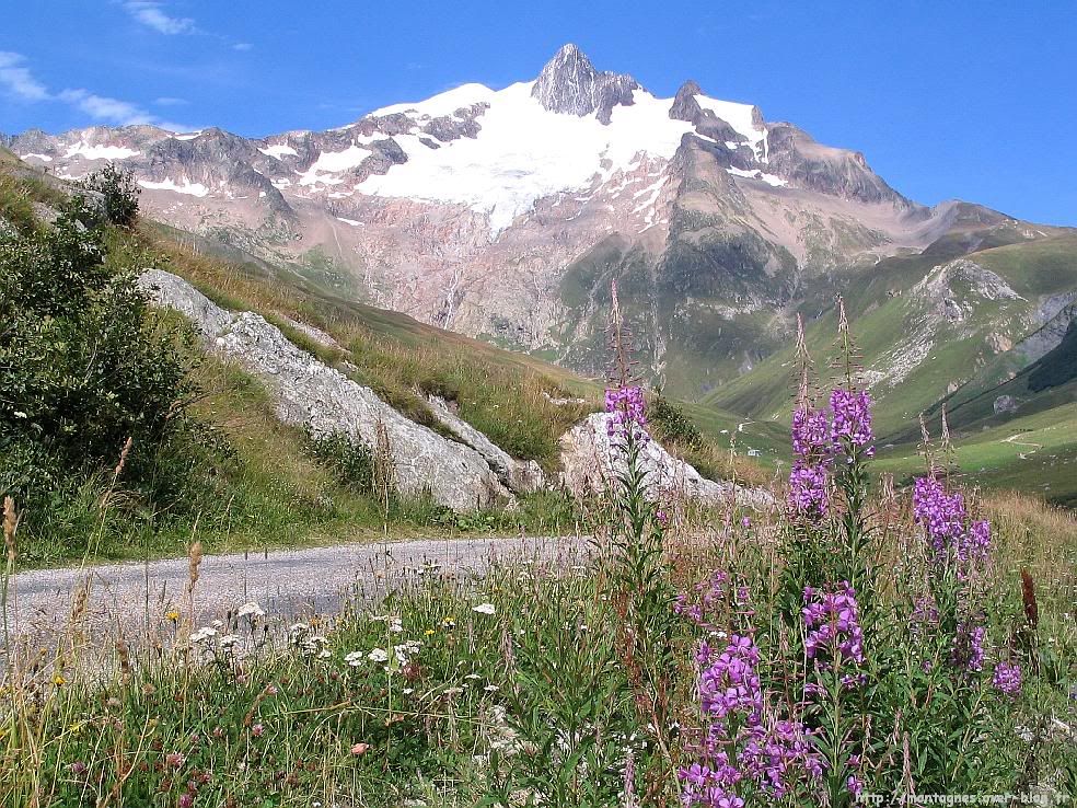 Vallée & aiguille des Glaciers 3816m